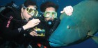 Learn to Dive Course - 4 Days - Downunder Dive image 3