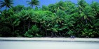 Cape Tribulation Tours - Cape Trib Connections image 4