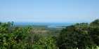 Cape Tribulation Tours - Cape Trib Connections image 5