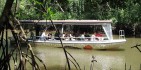 Cape Tribulation Tours - Cape Trib Connections image 3
