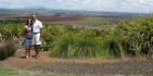 Food & Wine Tour - Food Trail Tours image 5