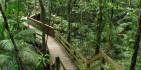 Cape Tribulation Tours - Cape Trib Connections image 2