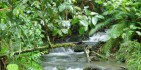 Cape Tribulation Tours - Cape Trib Connections image 7