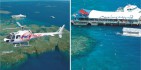 Reef Fly & Cruise Combo - Reef Magic image 1