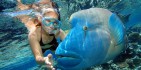 Reef Fly & Cruise Combo - Reef Magic image 8