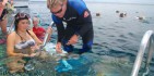 Reef Fly & Cruise Combo - Reef Magic image 7