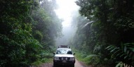 Rainforest Tours - Wait a While - Everything Australia