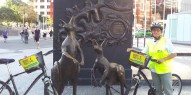 Bike Tours - Brisbane City - Everything Australia