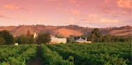 Barossa Valley Day Tour with Hahndorf - Everything Australia