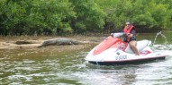 Jetski Crocodile Spotting Tour - Everything Australia