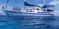 Reef Boat Overnight - Coral Sea Dreaming - Everything Australia