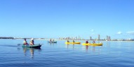 Kayaking - Dolphin & Stradbroke Island Tour - Everything Australia