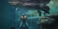 Crocosaurus Cove Cage of Death - Everything Australia