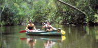 Noosa Everglades - Canoe & River Cruise - Everything Australia