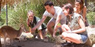 Taronga Zoo Guided Tour - Wild Australia Experience - Everything Australia