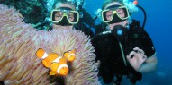 Learn to Dive Course - 5 days - Pro Dive - Everything Australia