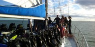 Reef Boat Overnight  - Rum Runner - Everything Australia