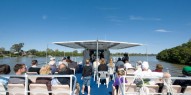 Lone Pine Koala Sanctuary & River Cruise - Everything Australia