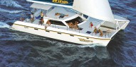 Whitsundays Diving - 2 days & 1 night - Wings Express - Everything Australia
