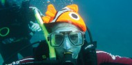 Whitsundays Diving - 3 days & 3 nights - Emperors Wings - Everything Australia
