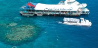 Reef Boat Day Trip - Reef Magic - Everything Australia