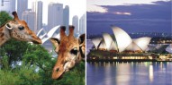 Sydney Opera House & Taronga Zoo Experience - Everything Australia