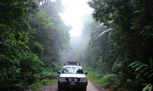 Rainforest Tours - Wait a While - Cairns