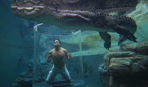 Crocosaurus Cove Cage of Death - Darwin