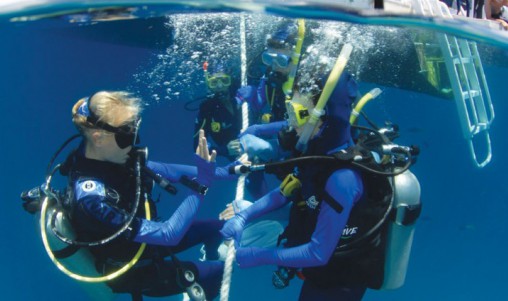 Learn to Dive Course - 4 Days - Port Douglas - Blue Dive - Port Douglas