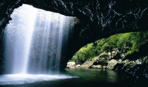 Glow Worm Caves - Gold Coast
