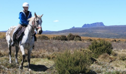 Horse Riding - Cradle Mountain - Cradle Mountain