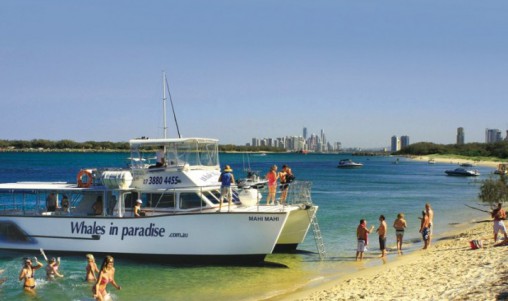 Island Day Cruise - Reef Ryder - Gold Coast