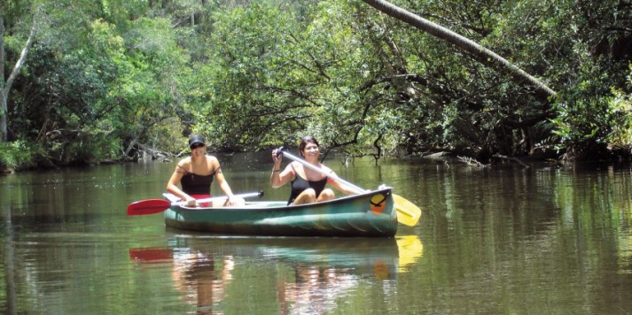 Canoe & Camping Safari Tour - Noosa Everglades - Everything Australia