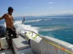 Wake Boarding on the Great Barrier Reef - Awesome Day