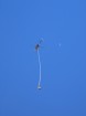 World Record Heli Bungy with AJ Hackett & Australian TV personality Grant Denyer - 300m tandem bungy