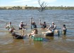 Our good friend Wizza's going away weekend celebration at Lake Eppaloch, Victoria, just north of Mel