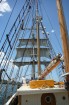 Tall Ship SYD