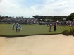 President's Cup 2011 at Royal Melbourne Golf Club. Nige was up a tree taking this photo!