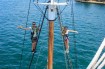 Sydney Harbour Tall Ship Sydney Harbour - Nigel 