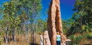 Termite mound