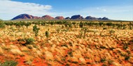 Uluru & Kata Tjuta 3 Day Break image 5