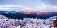 Ski Packages - Mt Buller Snow Day Tour image 2