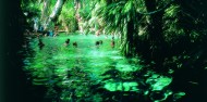 Mataranka Thermal Pools