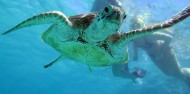 Reef Boat Day Trip - Ocean Freedom image 1