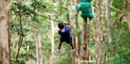 Ziplining - TreeTop Challenge Tamborine Mountain image 2