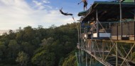 Cairns bungy in the rainforest