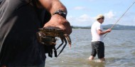 Daintree Dreaming Aboriginal Day tour- Adventure North image 5