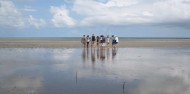 Daintree Dreaming Aboriginal Day tour- Adventure North image 4