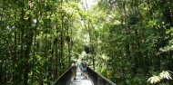 Daintree Dreaming Aboriginal Day tour- Adventure North image 2