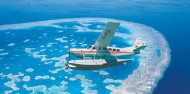 Scenic Flight - Reef and Whitehaven Scenic - Air Whitsunday image 3